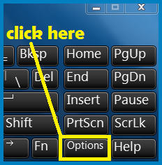 Options in Virtual Keyboard