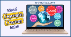 How to Find Domain Name Owner in Quick Way?